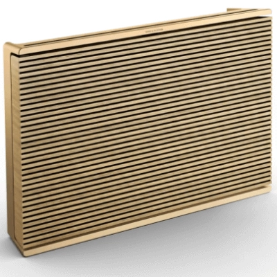 B&O Beosound Level head (1)