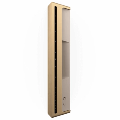 B&O Beosound Level head (2)
